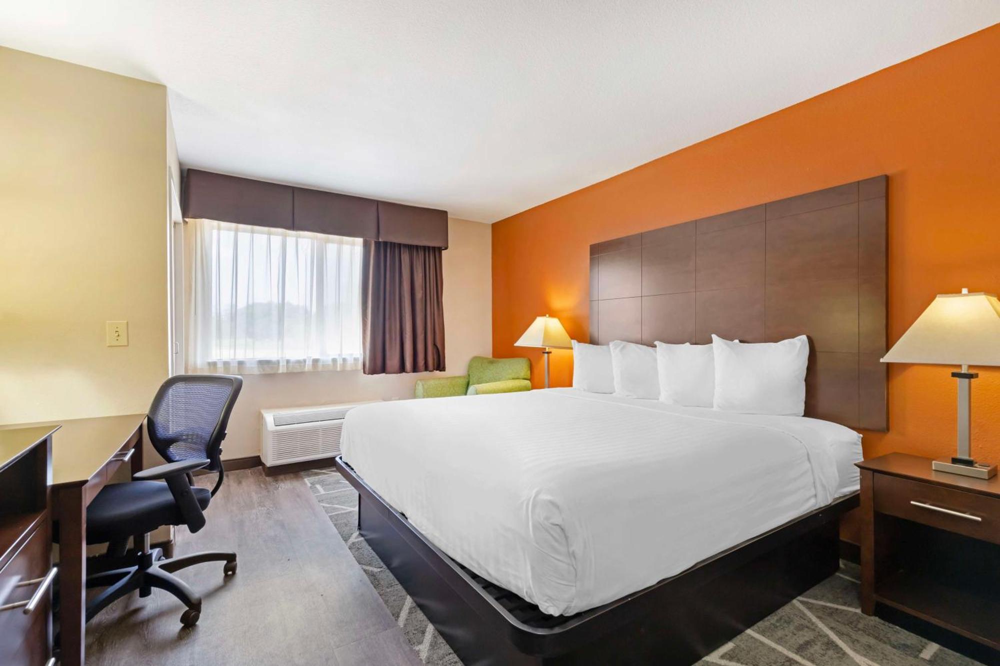 Best Western Inn & Suites ניו בראונפלס מראה חיצוני תמונה