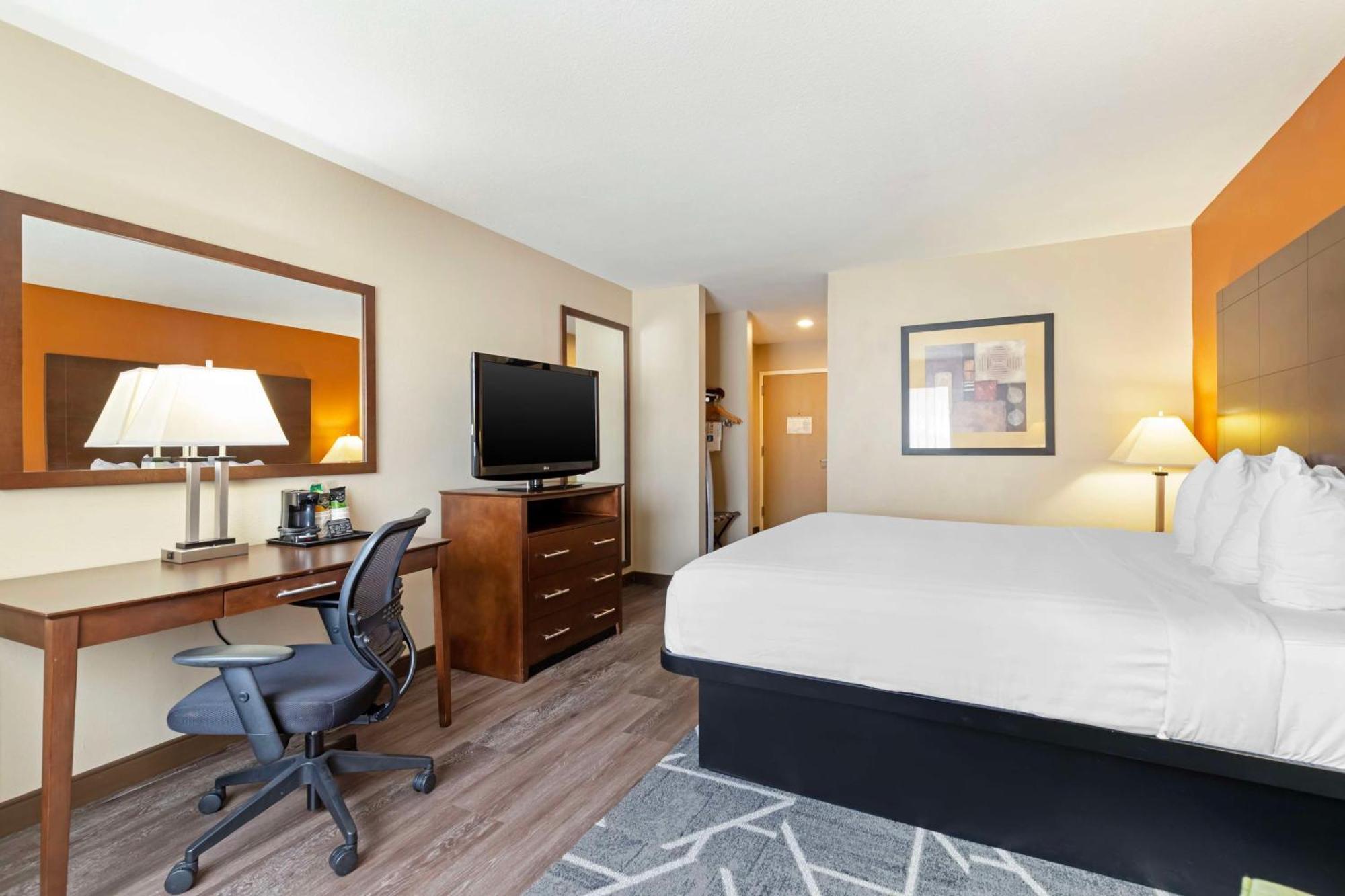 Best Western Inn & Suites ניו בראונפלס מראה חיצוני תמונה