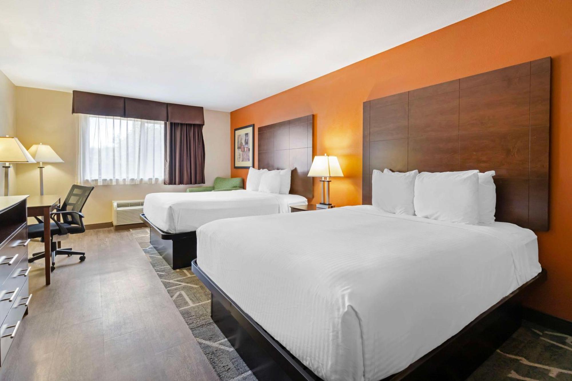 Best Western Inn & Suites ניו בראונפלס מראה חיצוני תמונה